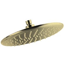Loui 260mm Shower Head